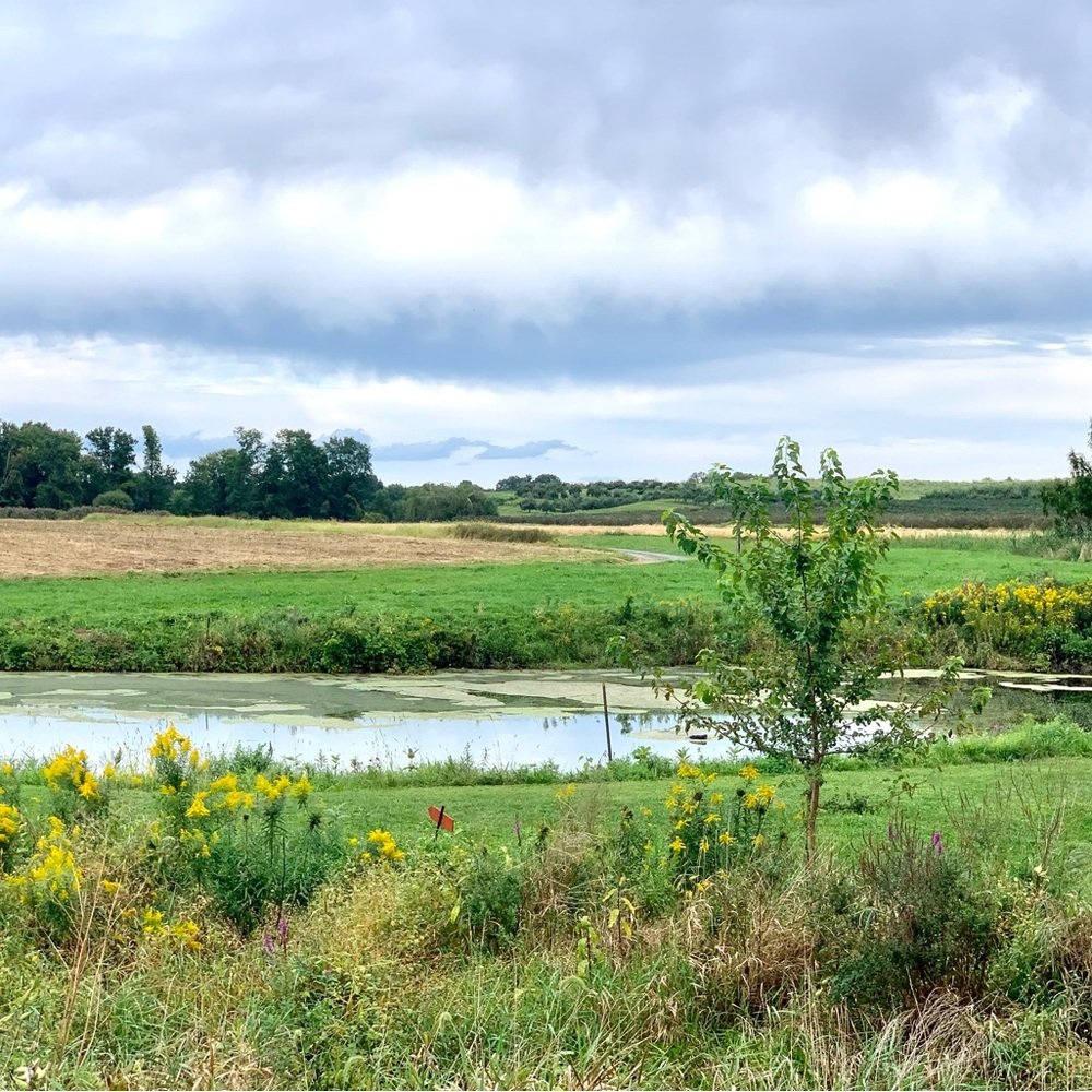 Meet your Posher, Karen